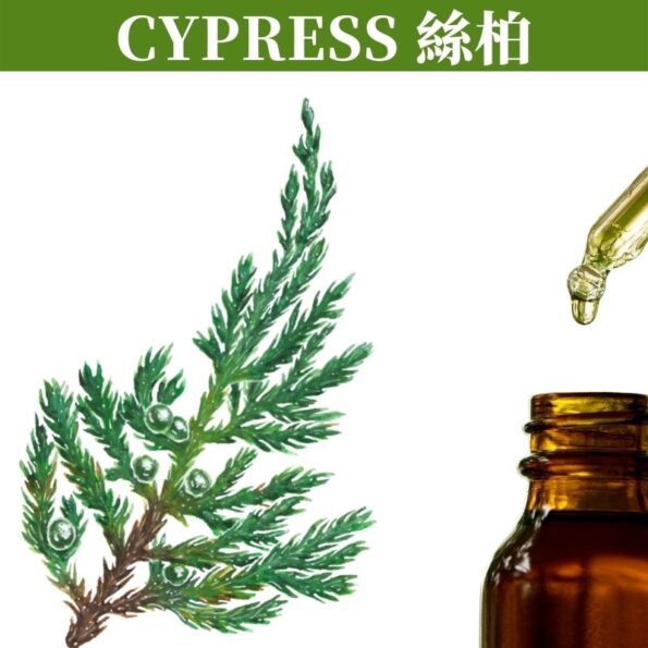 CYPRESS