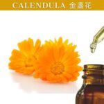 Calendula