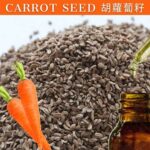 Carrot Seed