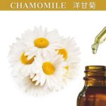 Chamomile