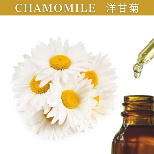 Chamomile