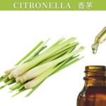 Citronella