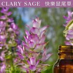 Clary Sage