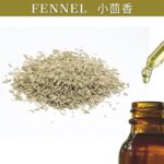 Fennel