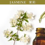 Jasmine