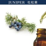 Juniper