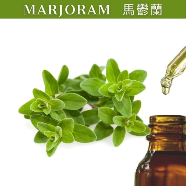 Marjoram