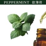 Peppermint Piperita