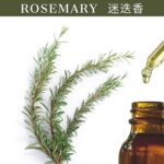 Rosemary