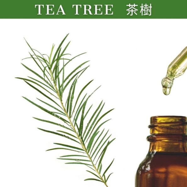 Tea Tree