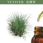 Vetiver