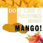 PH_MANGO_02